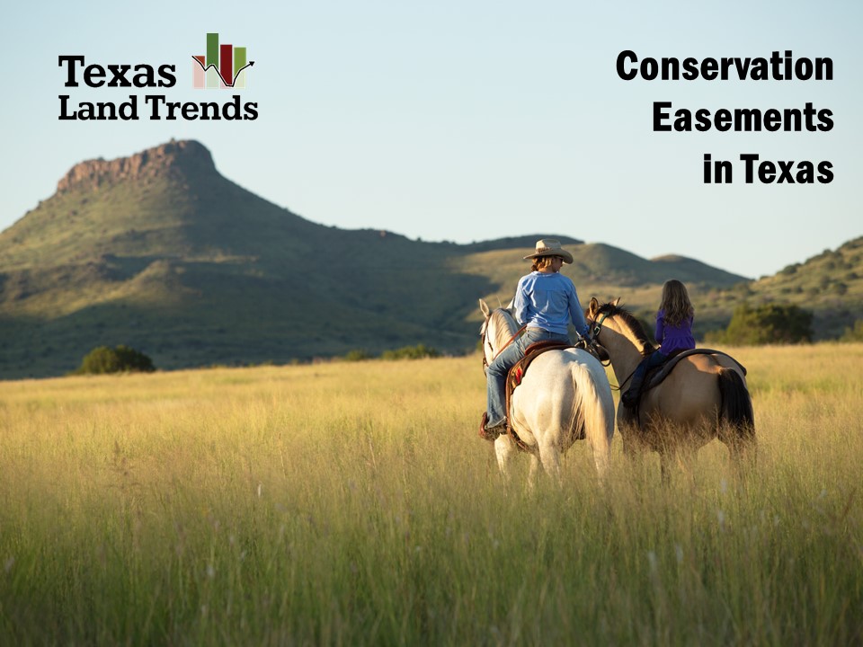 Home Texas Land Trends