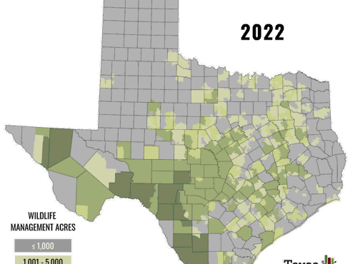 Wildlife Management 2022