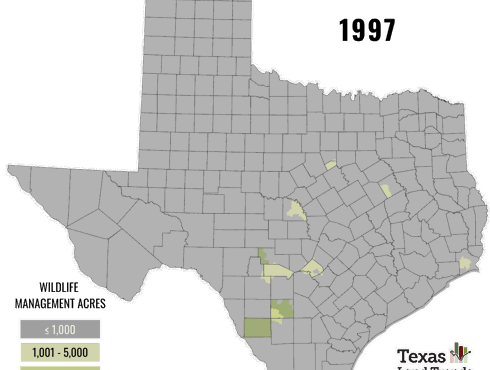 Wildlife Management 1997